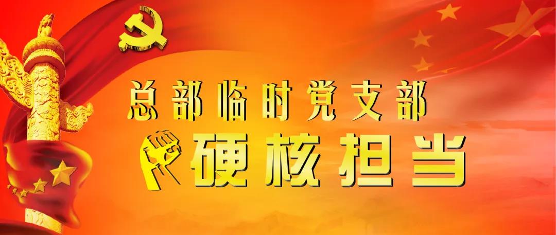 【总部临时党支部硬核担当 助力巡视整改“三个落实”之三】党建促执行 助力“效果落实” 【总部临时党支部硬核担当 助力巡视整改“三个落实”之三】党建促执行 助力“效果落实”