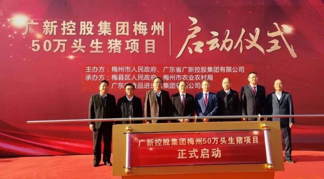 【2019年度恒峰国际荣誉体系先进集体系列报道三：省食品】党建引领促发展 化危为机见成效