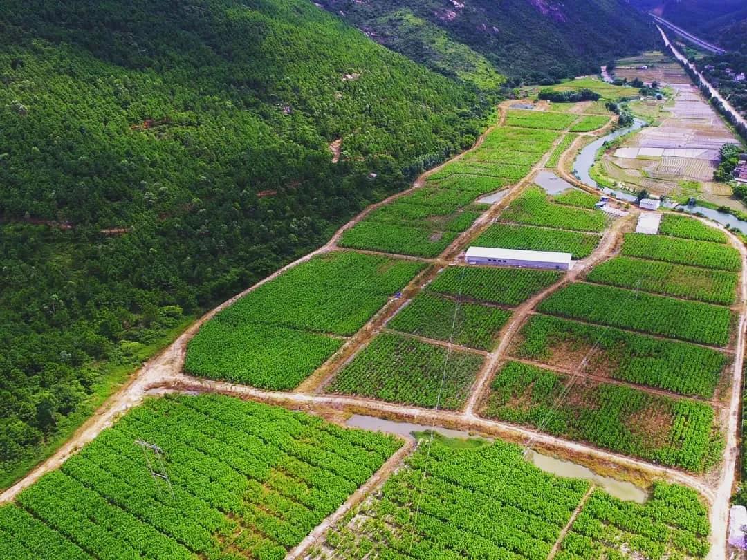 【2019年度恒峰国际荣誉体系先进集体系列报道四:羊城集团】坚定信心 奋勇争先 谱写新时代羊城集团全面转型发展新篇章 【2019年度恒峰国际荣誉体系先进集体系列报道四:羊城集团】坚定信心 奋勇争先 谱写新时代羊城集团全面转型发展新篇章