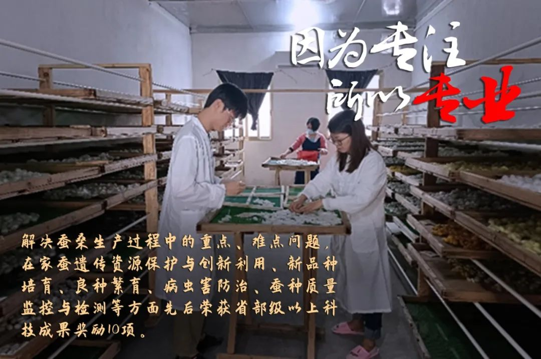 恒峰国际集团评定一批劳模和工匠人才创新工作室